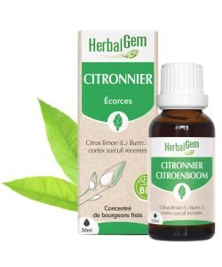 Citronnier (Citrus limonum) écorce